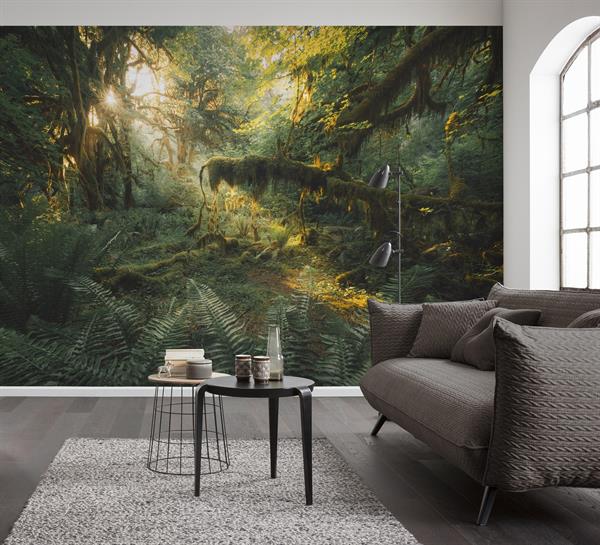 FOTOMURALE PURE 2 IN TNTJUNGLE SUN MIS.400X250CM (4 Teli)