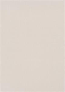 PARATO STARLIGHT PVC/TNT/UNITO BEIGE 0,53X10,05MT