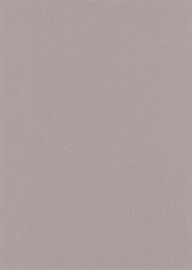 PARATO STARLIGHT PVC/TNT/UNITO TAUPE 0,53X10,05MT