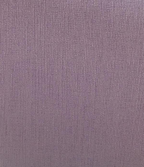 PARATO THE WALL 3  PVC  /TNT UNITO VIOLET 0,53X10,05MT