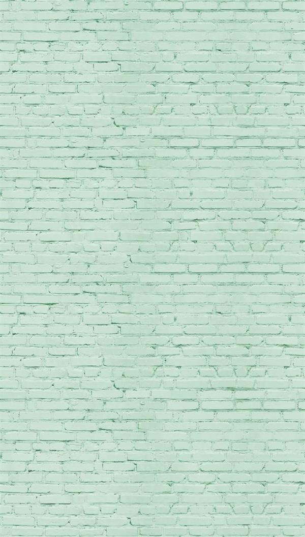 PARATO THE WALL 3  PVC  /TNT WALL GREEN 1,59X2,80H MT (3TELI)