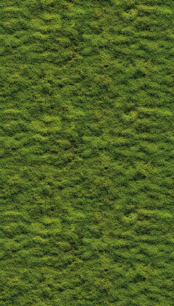 PARATO THE WALL 3  PVC  /TNT HEDGE GREEN 1,59X2,80H MT(3TELI)