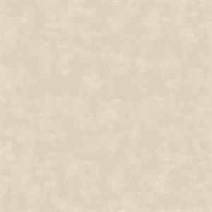 PARATO DESIGNER WALLS IN/TNT UNITO BEIGE 0,53X10,05MT