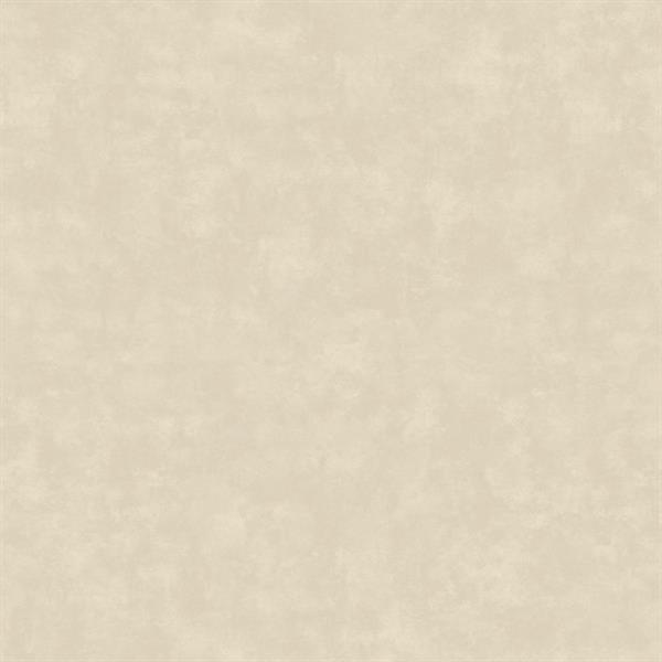 PARATO DESIGNER WALLS IN/TNT UNITO BEIGE 0,53X10,05MT