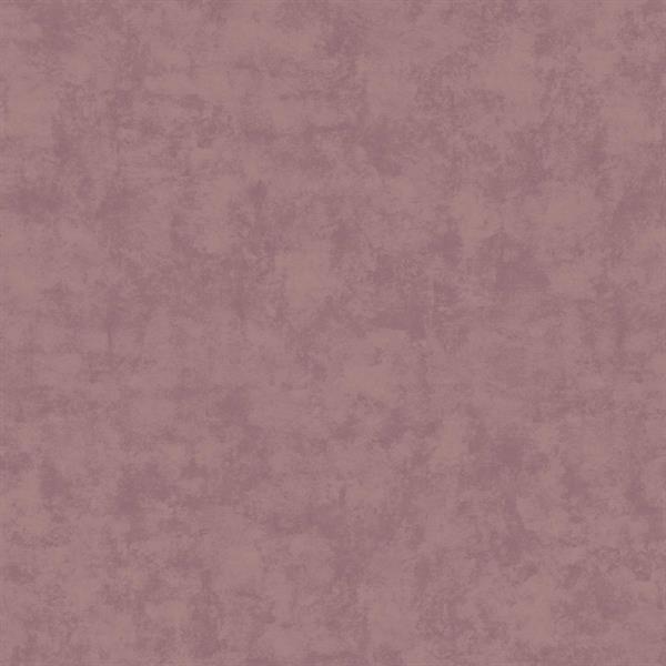 PARATO DESIGNER WALLS IN/TNT UNITO VIOLET 0,53X10,05MT