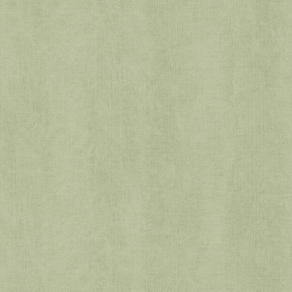 PARATO FEATURE WALLS PVC/TNT UNITO LIGHT GREEN 0,53X10,05MT