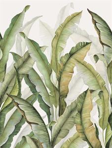 PARATO FEATURE WALLS PVC/TNT FOLIAGE GR 2,12X2,80H MT(4 TELI)